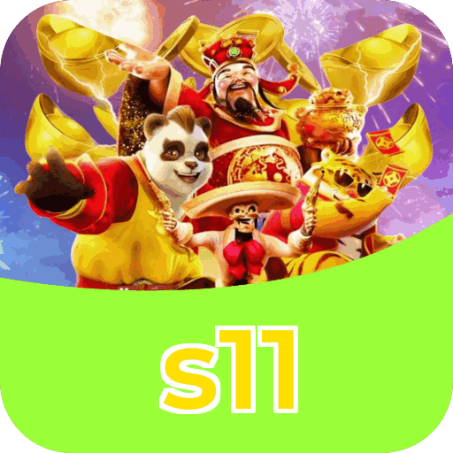 Interface s11